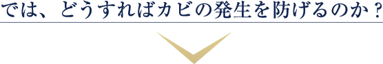 では、どうすればカビの発生を防げるのか?