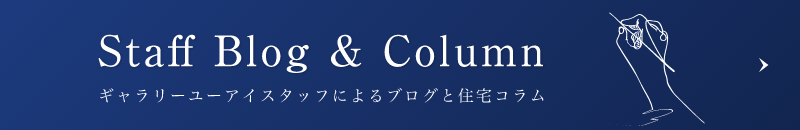 Staff Blog&Column 