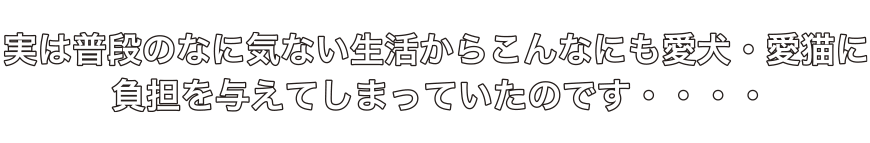 実は普段のなに気ない生活からこんなにも愛犬・愛猫に
負担を与えてしまっていたのです・・・・