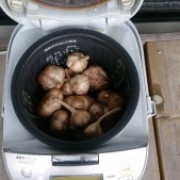 黒にんにく作り　５日目