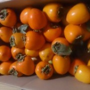 初めての干柿！！